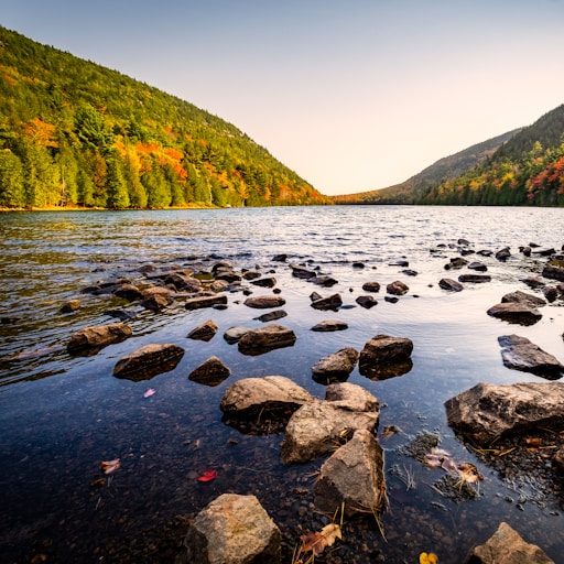 Acadia National Park (Bar Harbor) (copy)